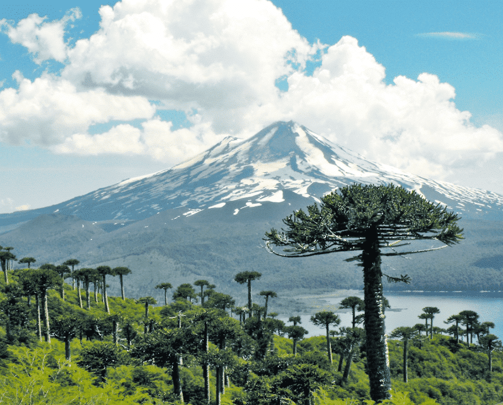 Imprenta Crea Publicidad - Temuco